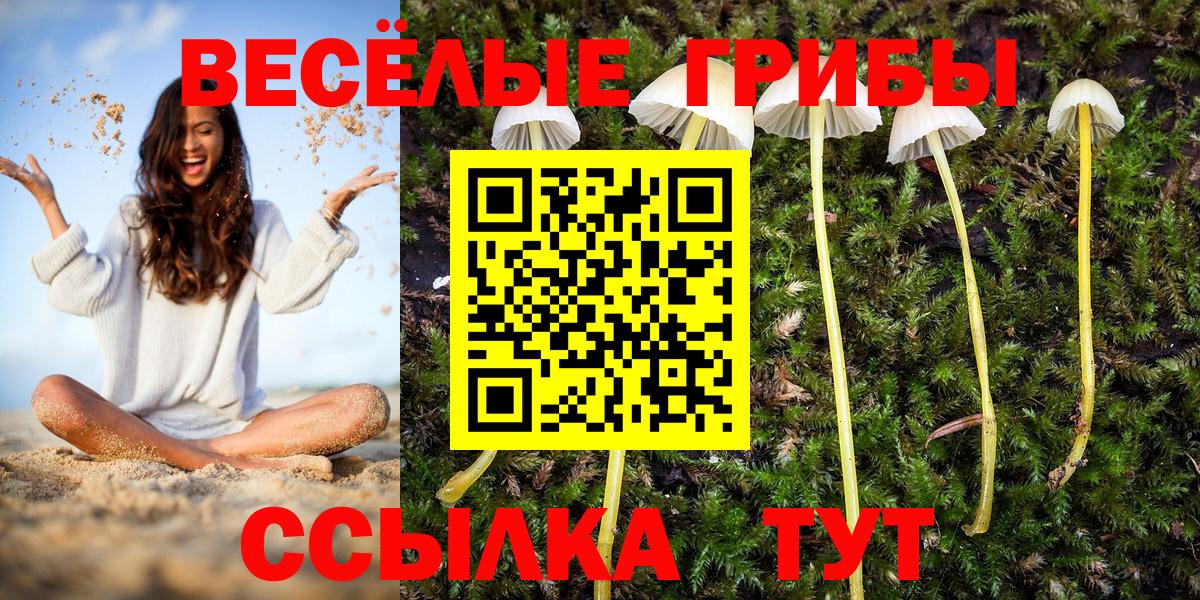 где найти наркотики  Вход с VPN  Комсомольск-на-Амуре  Галлюциногенные грибы ЛСД  Галлюциногенные грибы GOLDEN TEACHER 
