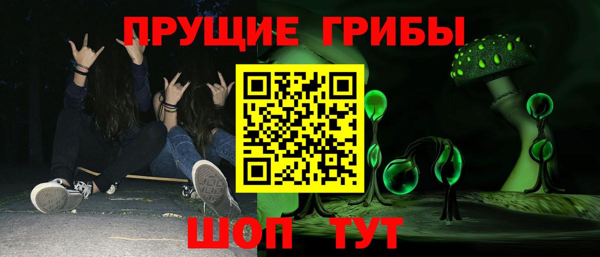 Псилоцибиновые грибы Cubensis Комсомольск-на-Амуре
